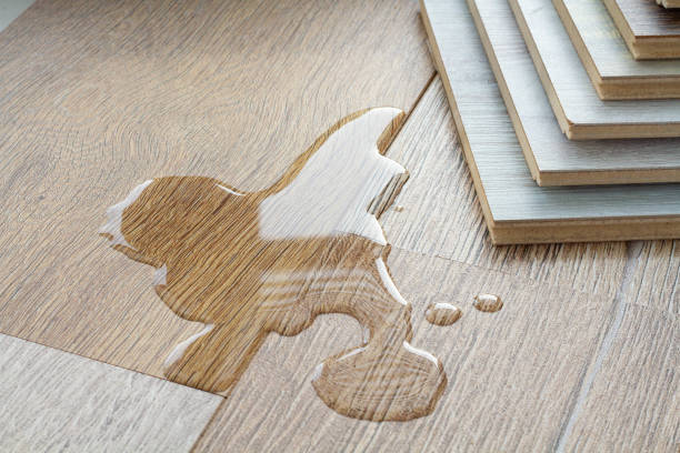 istock Laminate and water. Wooden floors are impervious to moisture. 1366692103