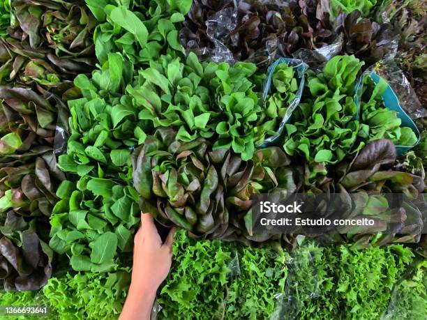 Close Up Hands Of Young Woman Choosing To Buy Green Leaves To Make A Vegetarian Recipe Healthy Life Stock Photo - Download Image Now