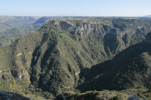 landscape of a valley with mountains