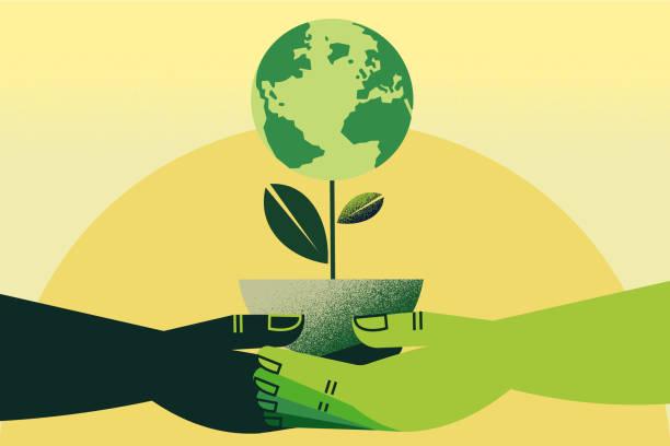 illustrazioni stock, clip art, cartoni animati e icone di tendenza di mani che tengono la pianta di terra - sostenibilità