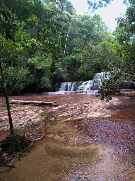 非常に遠い土地のユニークな風景。 - orinoco river ストックフォトと画像