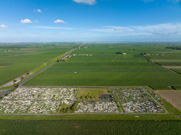 istock Drone View Across A Cemetery And Sugarcane Fields 1366704099