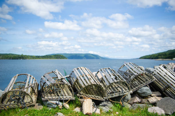 pułapki na homary w pobliżu brzegu - marina lake nautical vessel water zdjęcia i obrazy z banku zdjęć