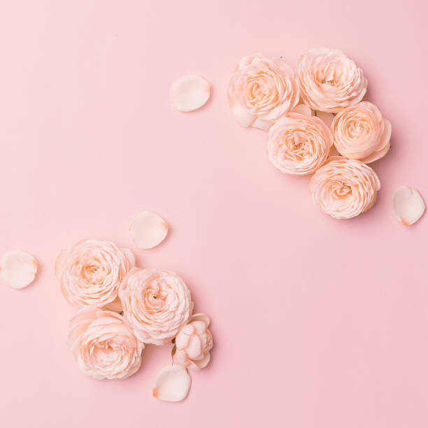istock Flower flat lay for decorative design on pink background. Minimal romantic hipster concept, mockup background 1366711561