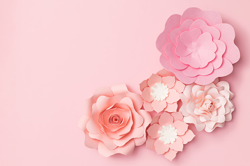 Flower flat lay for decorative design on pink background. Minimal romantic hipster concept, mockup background