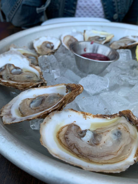istock Fresh oysters sitting on a platter 1366711635
