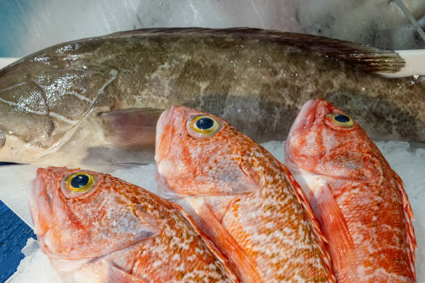 istock Red mullet and other fish for sale 1366716481