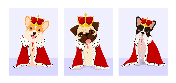 A set of dogs in royal costumes and a crown