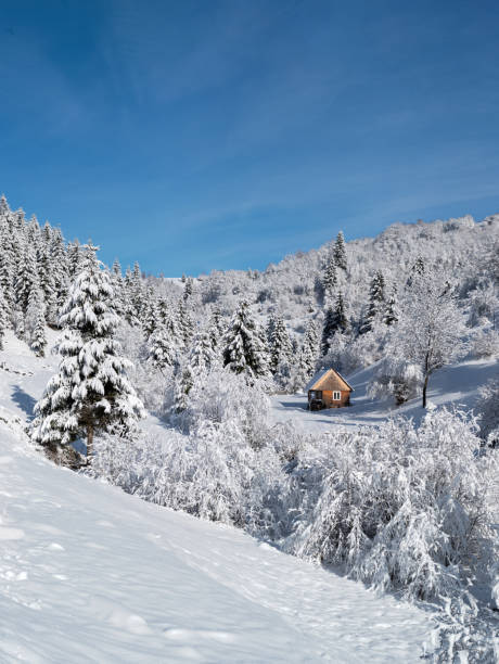 山の側の森に立つ雪に覆われた家 - european alps carpathian mountain range evergreen tree tree ストックフォトと画像
