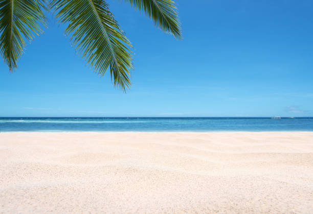istock Tropical beach scene for background or wallpaper 1366720703