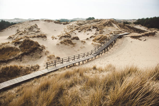 bulwar przez dunes - beach boardwalk grass marram grass zdjęcia i obrazy z banku zdjęć