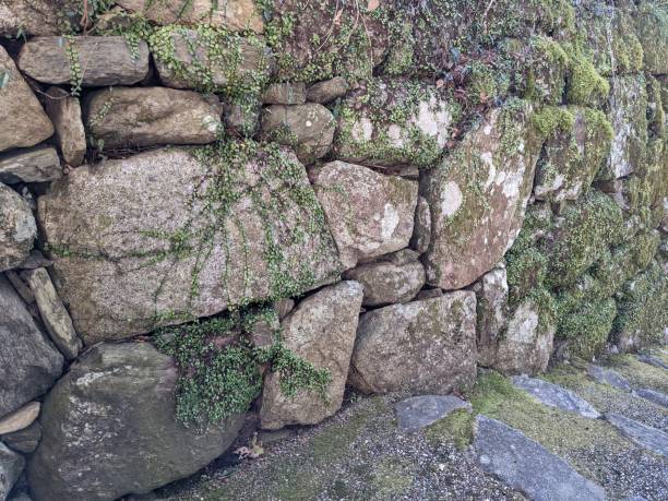 istock Stone wall of historic Akizuki castle with moss 1366726422