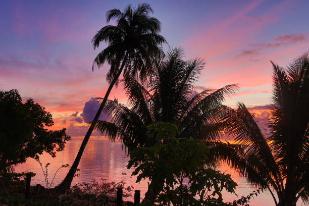 istock Sunset in a tropical island 1366728507