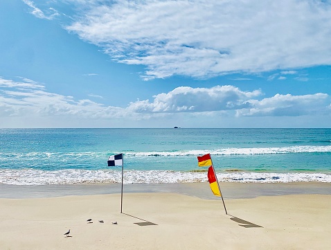 Horizontal seascape of seagulls on beach sand with saftey swimming flags and turquoise breaking waves  under a cloudy blue sky at Byron Bay main Beach NSW Australia