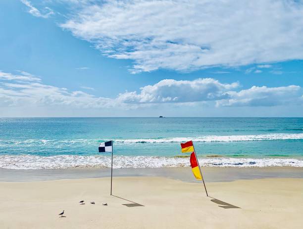 Swim Between Beach Saftey Flags stock photo