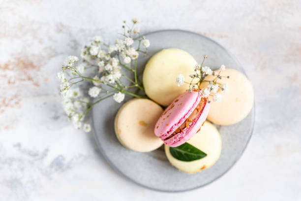 istock French assorted macarons pastel colors with gypsophila flowers on grey concrete background. Top view. 1366738077