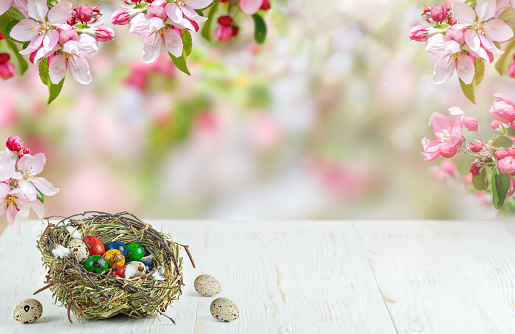 Colorful quail Easter eggs in nest on white wooden table on blurred floral background. Copy space.