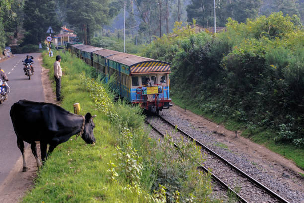 Nilgiri Mountain train near Lovedan Station. The (NMR) is a UNESCO World Heritage stock photo