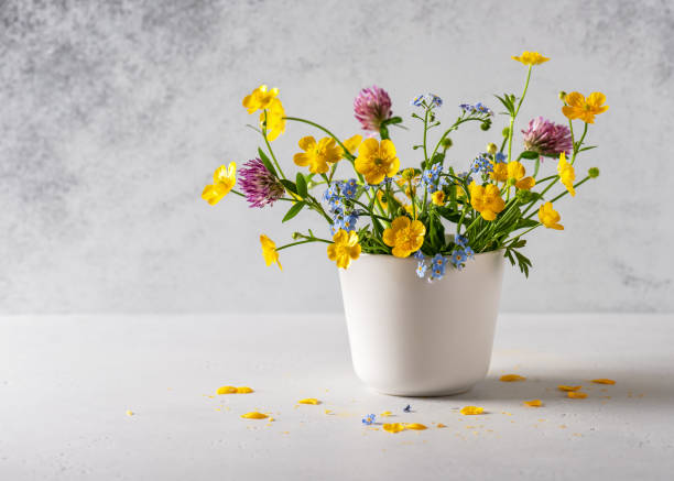 beautiful bouquet of summer wildflowers with yellow buttercup, blue "forget me not" and purple clover flowers. - flower pot vase purple decor imagens e fotografias de stock