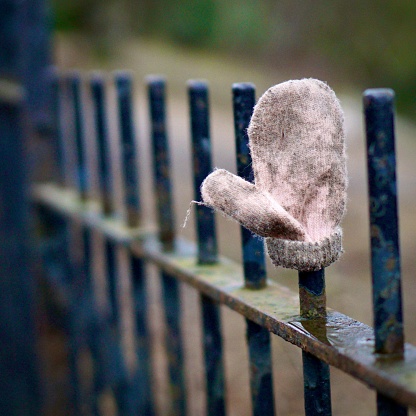 Lost glove within Heaton Park, Bury