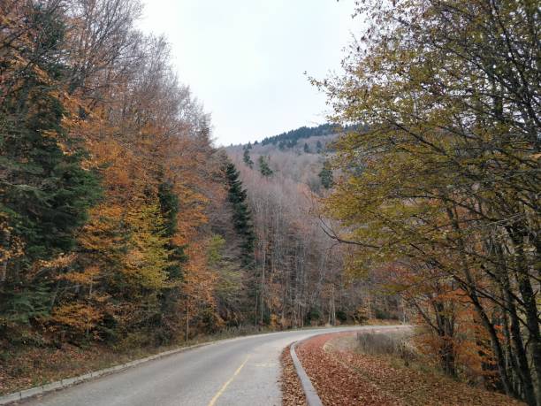 istock abant lake in autumn 1366744547
