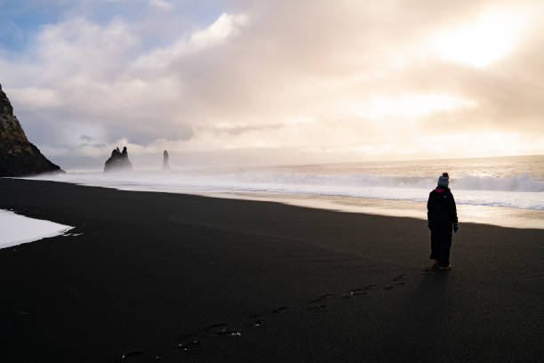 istock Black beach with snow. Reynisfjara Beach 1366746155