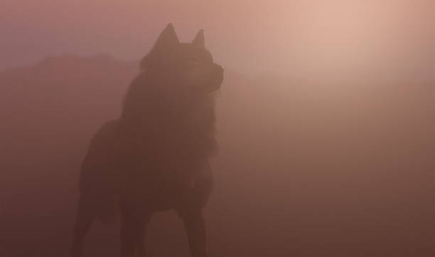 istock Wolf in a misty rocky landscape at sunrise. 3D render. 1366749525