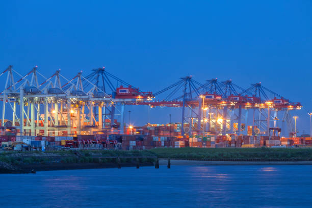 istock Container Ship Being Unloaded at Hamburg Harbour 1366749793