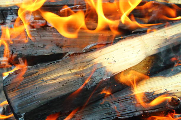 A beautiful yellow flame and charred firewood. Bonfire. Close-up. Background.