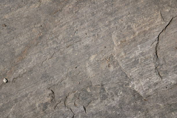 istock Granite, Slabstone, Detail, Structure 1366750924