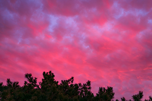 Pink sky background on sunset