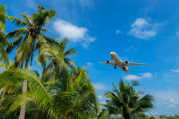 istock airplane flying over tropical palm trees. clear blue sky vacation time. 1366753598