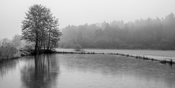 A pond with trees on a foggy winter morning