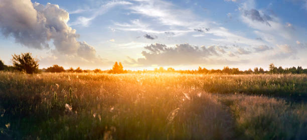 istock Summer landscape with green grass, road and clouds 1366757296