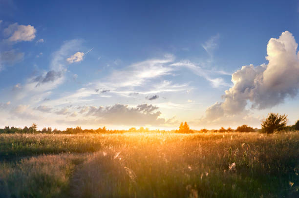 istock Summer landscape with green grass, road and clouds 1366757317