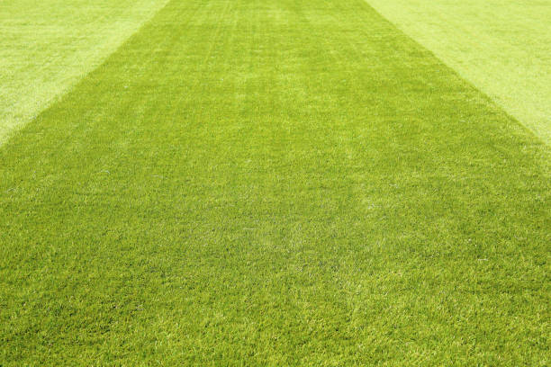 Football field of artificial green lawn. Close-up. Background. Texture. stock photo