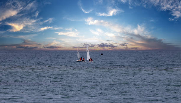 Group of Optimist sails