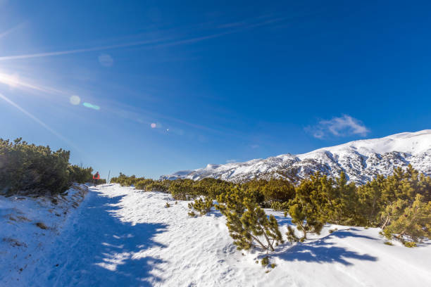 Lush winter landscape on Rax mountain massive, Austrian Alps