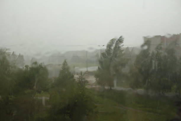 istock Rain drops on the window glass. View from the window. Blurred background. Background. Texture. 1366759789