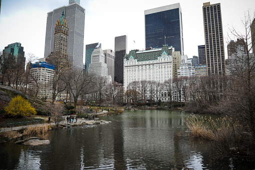 New York, USA - 03 25 2018: New York City Manhattan Central Park people feeding birds on the lake.