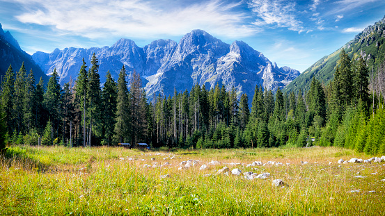 Vacations in Poland - The Wlosienica glade in Tatra Mountains