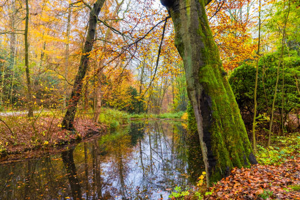 istock Autumn trees in the park 1366762569