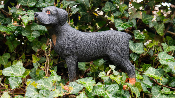 Realistic plastic toy dog - Rottweiler.
