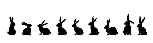 illustrations, cliparts, dessins animés et icônes de silhouettes de lapins - lapin