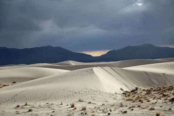 Photo of Landscape in White Sands NP