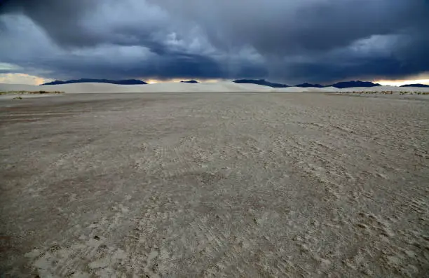 Photo of White sands in frog perspective