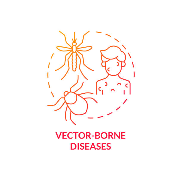 vector borne diseases red gradient concept icon - 蜱 動物 幅插畫檔、美工圖案、卡通及圖標
