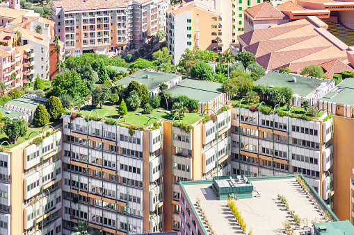 Botanical garden above Monte Carlo, Monaco