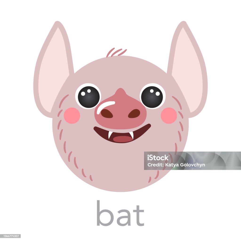 Bat Cute Portrait With Name Text Smiley Head Cartoon Round Shape Animal Face  Isolated Vector Icon Illustrations On White Background Flat Simple Hand  Drawn For Kids Poster Cards Tshirts Baby Stock Illustration -