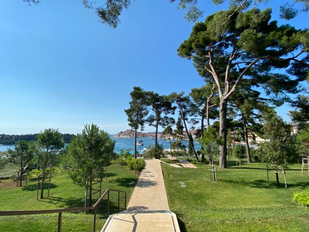 istock Rovinj Istria Croatia Adriatic Sea 1366777596